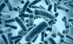 擴(kuò)增子測(cè)序