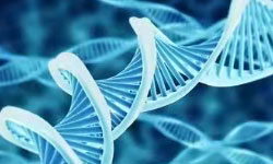 擴(kuò)增子定量檢測